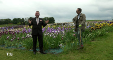 Tenue de Jardin – Les iris