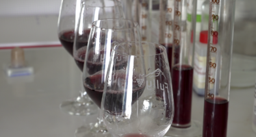 La technicité du vin: le diable se cache dans les détails